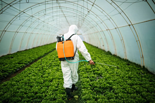 Best Best Pest Control Companies  in Olivehurst, CA