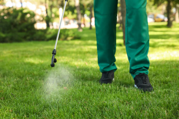 Best Affordable Pest Control Services  in Olivehurst, CA