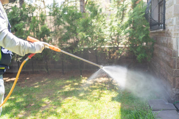 Best Commercial Pest Control Services  in Olivehurst, CA