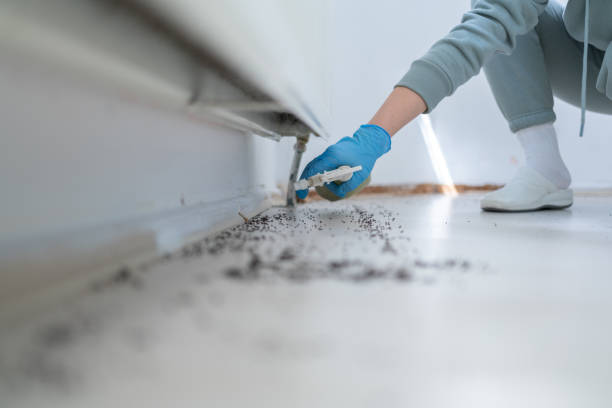 Best Cockroach Control Services  in Olivehurst, CA